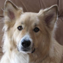 Pecan Russell was adopted in October, 2004